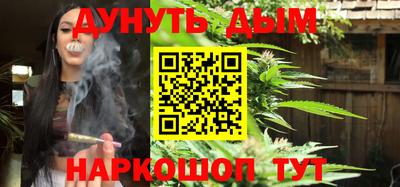 Альфа ПВП Малгобек
