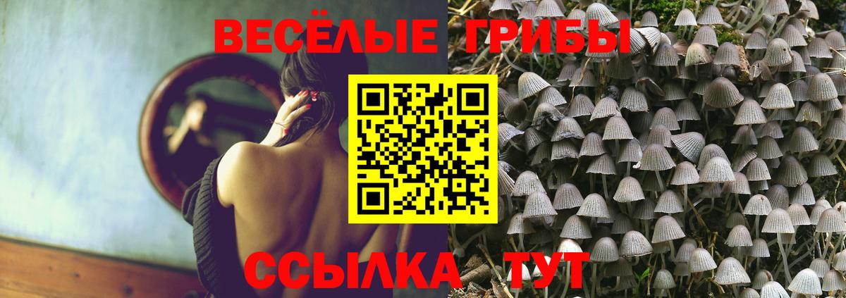 Псилоцибиновые грибы мицелий  Вход с VPN  Гусиноозёрск 